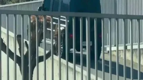 大乐透期号分析：专家推荐质合前区十码，雷霆VS勇士赛前瞻