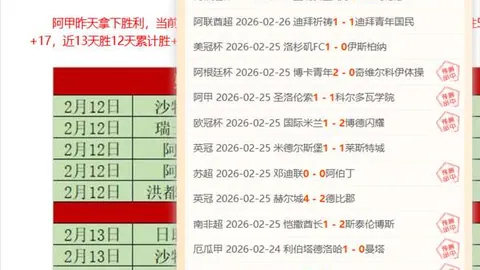 Tomodachi Life实体版全球多地售罄
